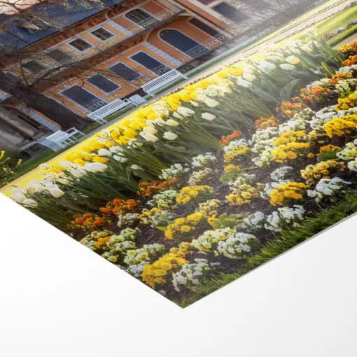 Fotoabzug (01043) Schloss Pillnitz – Bild 3