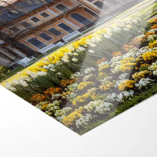 Poster (01043) Schloss Pillnitz – Bild 2