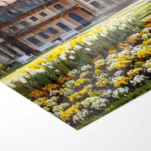 Poster (01043) Schloss Pillnitz – Bild 5