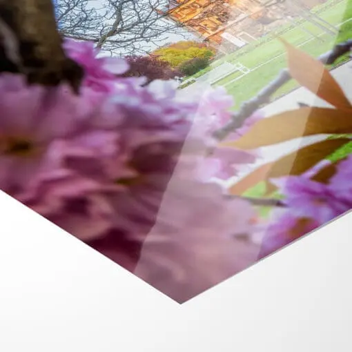 Poster (01057) Frühling am Palais – Bild 2