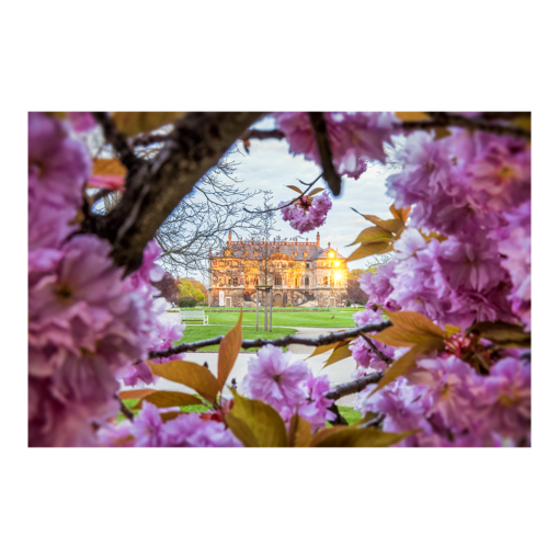 Alu-Dibond (01057) Frühling am Palais