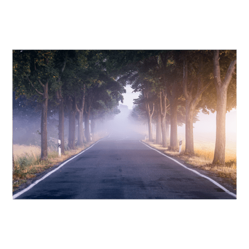 Poster (01082) Baumallee im Nebel