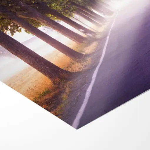 Poster (01085) Baumallee im Nebel – Bild 3