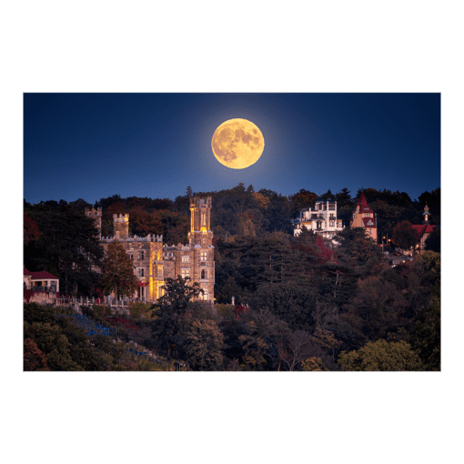 Fotoabzug (01137) Schloss Eckberg