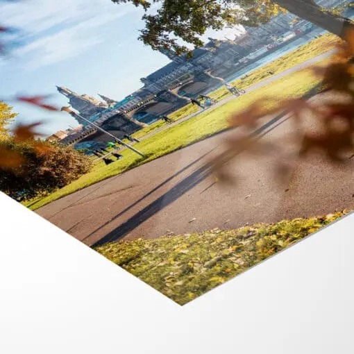 Fotoabzug (01139) Dresden im Herbst – Bild 5