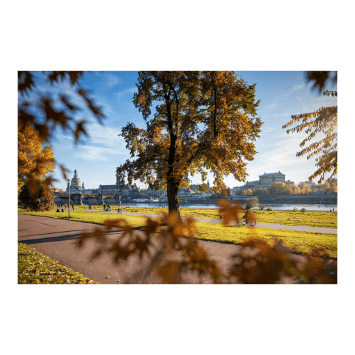 Poster (01139) Dresden im Herbst