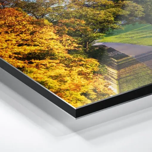 Alu-Dibond (01144) Dresden im Herbst – Bild 4