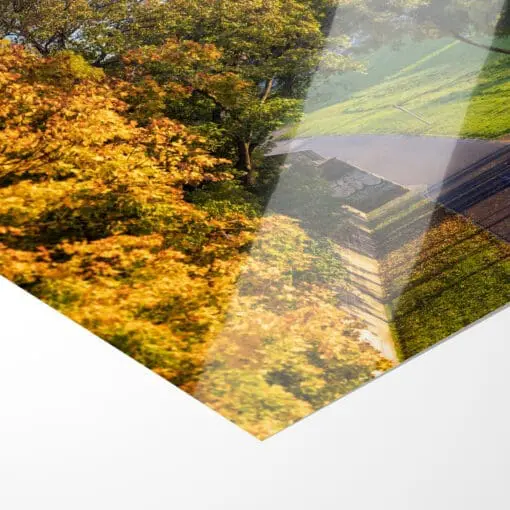 Fotoabzug (01144) Dresden im Herbst – Bild 2