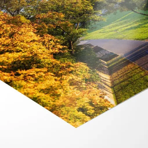 Poster (01144) Dresden im Herbst – Bild 3