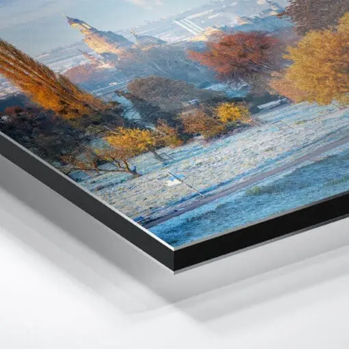 Alu-Dibond (01158) Dresden im Herbst – Bild 5