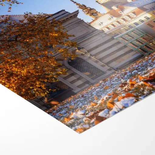 Fotoabzug (01159) Frauenkirche im Herbst – Bild 3
