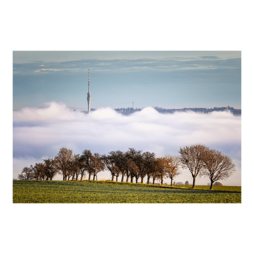 Fotoabzug (01161) Fernsehturm im Nebel