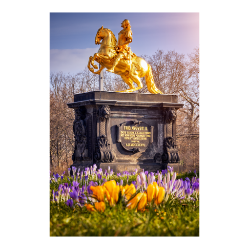 Leinwand (01179) Goldener Reiter