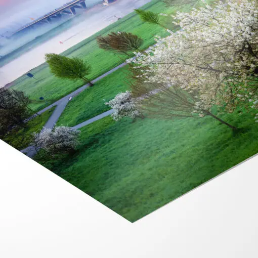 Poster (01213) Waldschlößchenbrücke – Bild 3