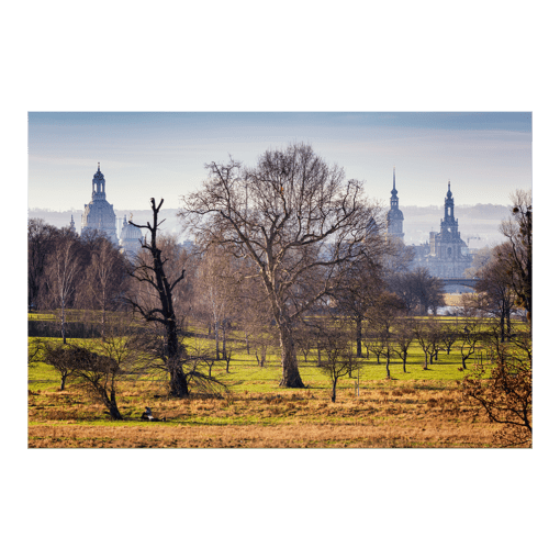 Fotoabzug (00276)
