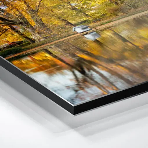 Alu-Dibond (01417) Englischer Pavillon in Pillnitz – Bild 5