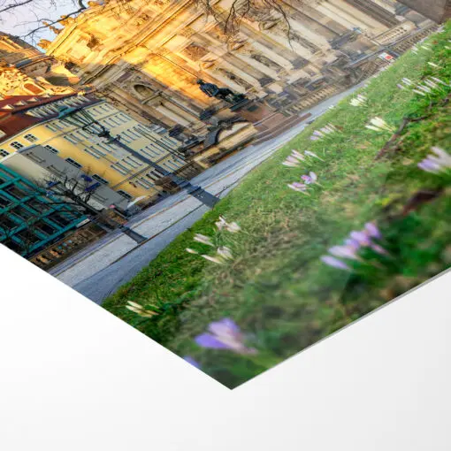 Poster (01453) Brühlscher Garten im Frühling – Bild 5