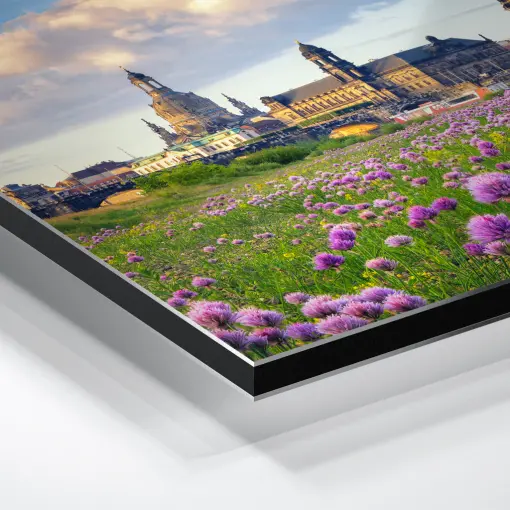 Alu-Dibond (01521) Dresdner Skyline zum Sonnenaufgang – Bild 3