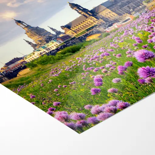 Poster (01521) Dresdner Skyline zum Sonnenaufgang – Bild 5