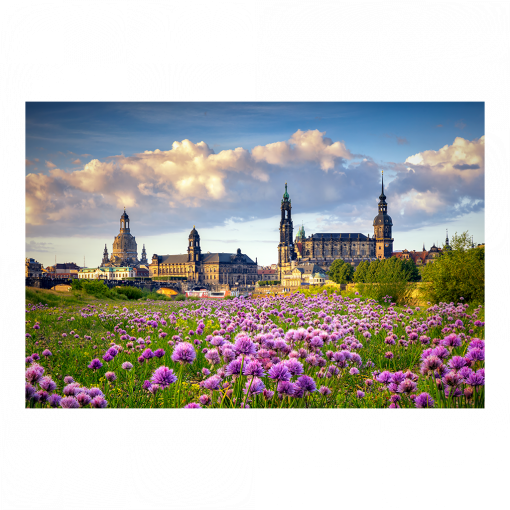 Poster (01521) Dresdner Skyline zum Sonnenaufgang