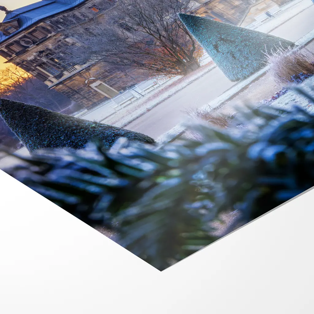 Poster (01577) kalter Wintermorgen am Palais – Bild 3