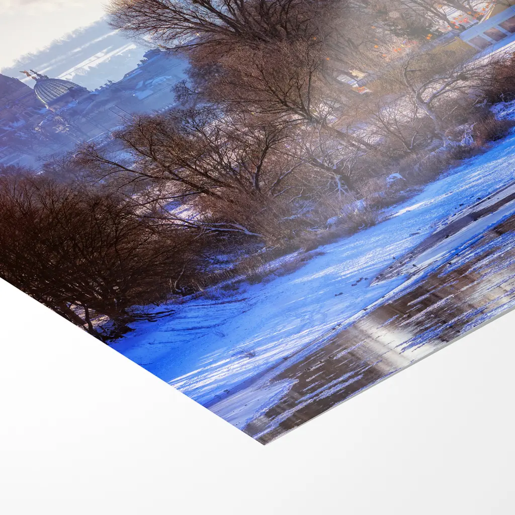 Poster (01605) Blick von der Waldschlößchenbrücke – Bild 3