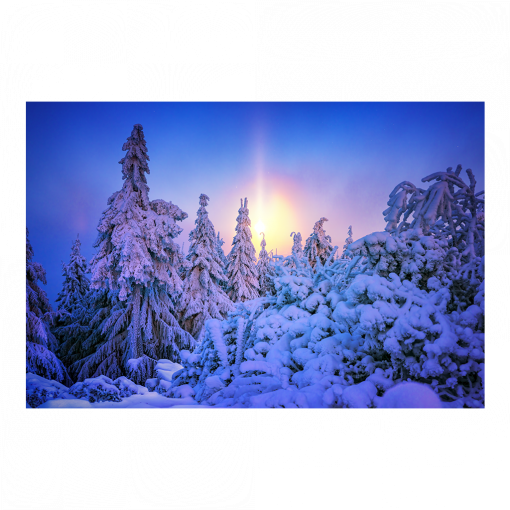 Acryl Board (01613) Mondhalo im Winter