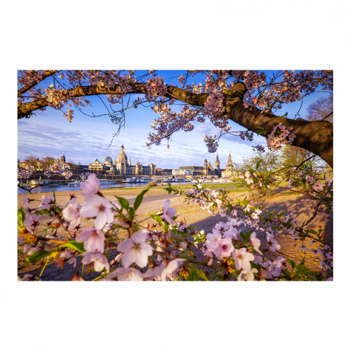 Fotoabzug (01624) Skyline im Frühling