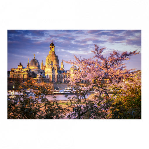 Acryl Board (01630) Frauenkirche mit Kirschbaum