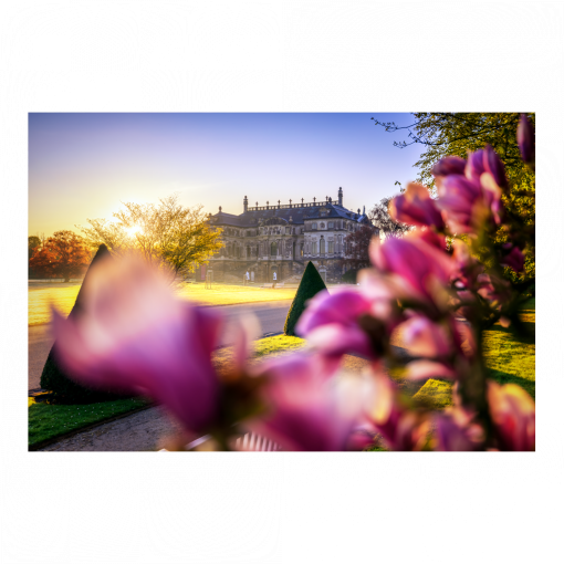 Acryl Board (01636) Magnolie am Palais