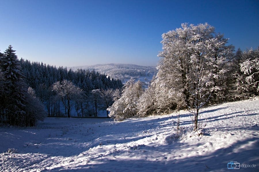 Winterparadies in Zinnwald