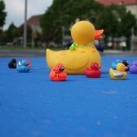 Dresden und das neue Blaue Wunder