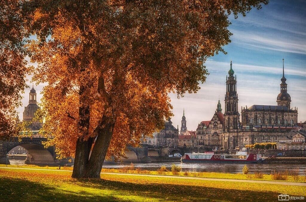 Der Herbst in Dresden