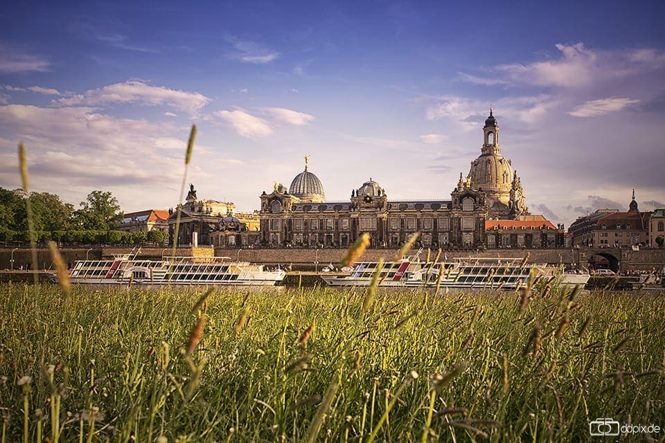 Dresden im Juni 2012.