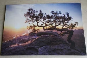 PIX_1038