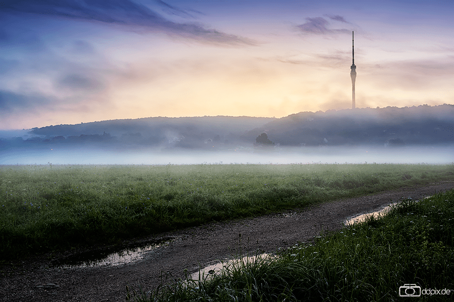 nebliger Sommermorgen in Laubegast