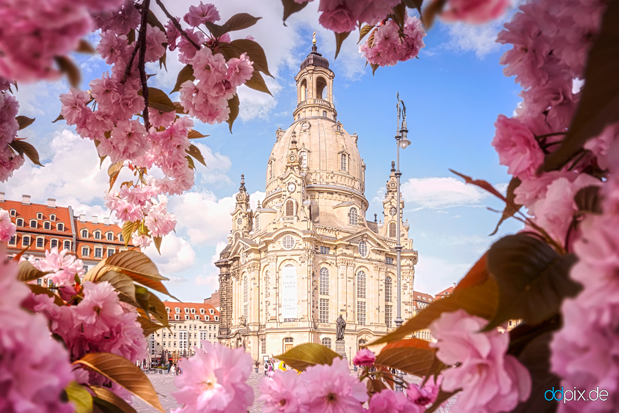 Frühling auf dem Neumarkt