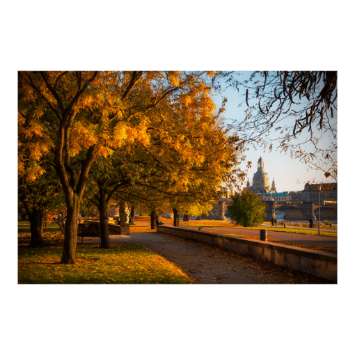 Alu-Dibond (00230) Herbst in Dresden