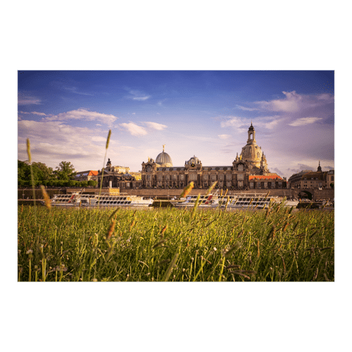 Poster (00246) Dresden im Sommer