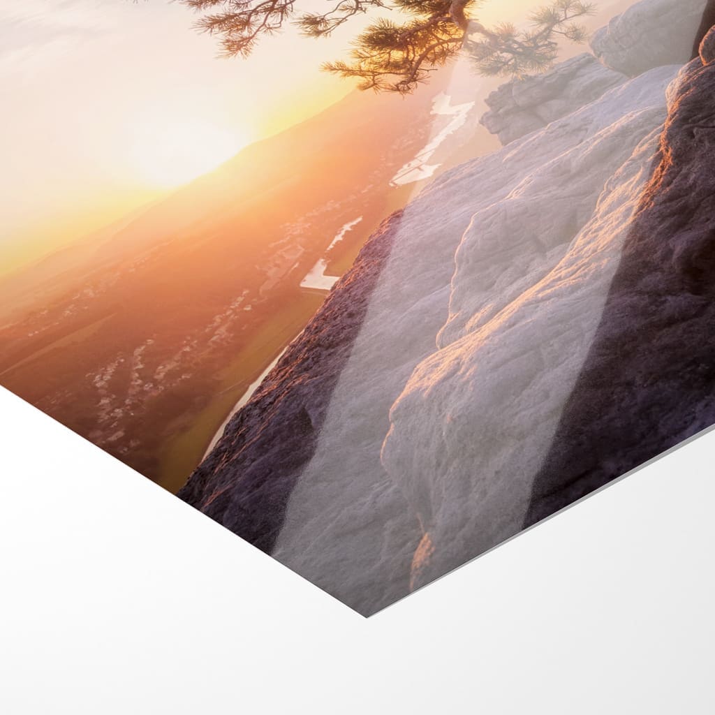 Poster (00268) Wetterkiefer auf dem Lilienstein – Bild 2