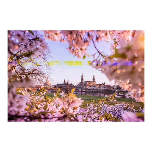 Acryl Board (00366) Dresden Skyline im Frühling