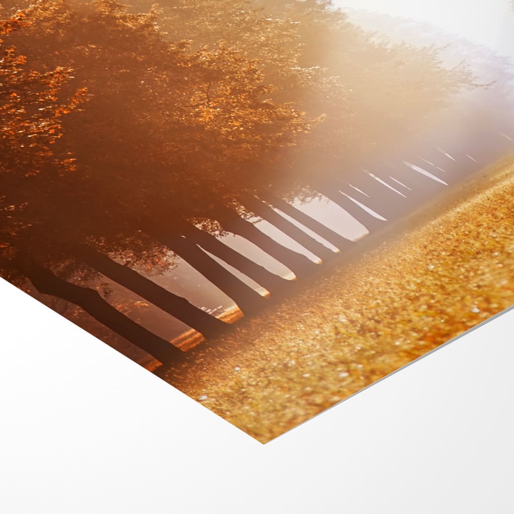 Fotoabzug (00390) Großer Garten im Nebel – Bild 3