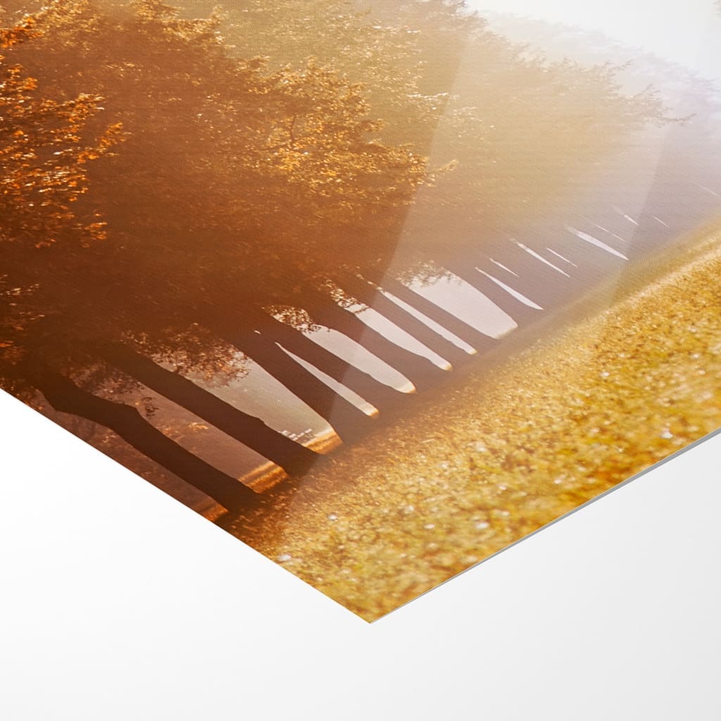 Fotoabzug (00390) Großer Garten im Nebel – Bild 5