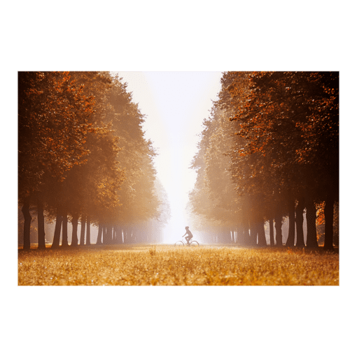 Poster (00390) Großer Garten im Nebel