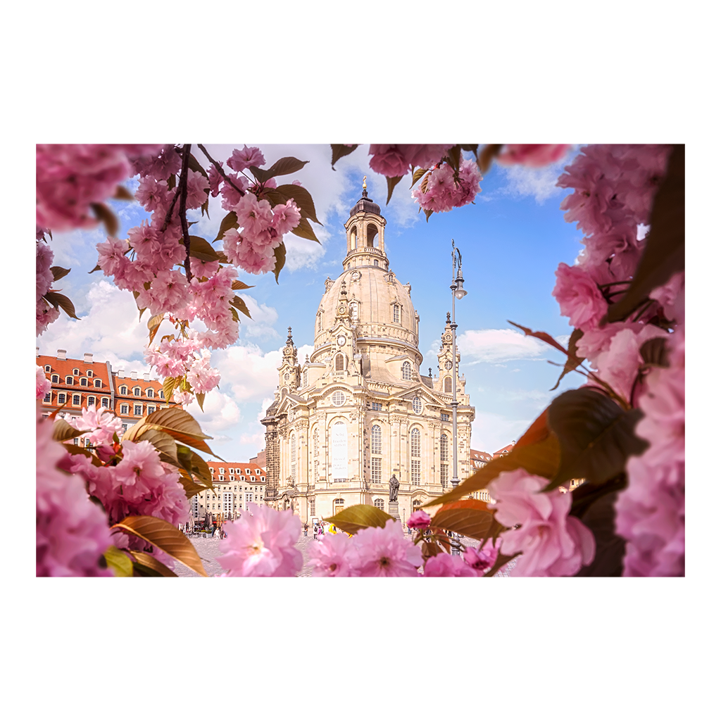 Acryl Board (00400) Kirschblüten an der Frauenkirche