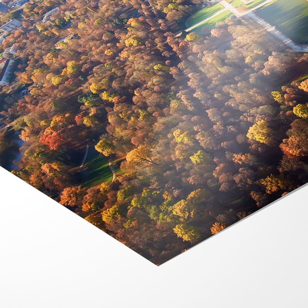 Fotoabzug (00454) Großer Garten im Herbst – Bild 3