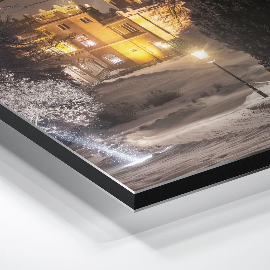 Alu-Dibond (00488) Schloss Eckberg im Winter – Bild 3