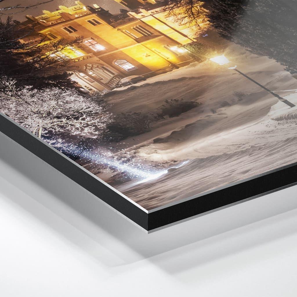 Alu-Dibond (00488) Schloss Eckberg im Winter – Bild 4