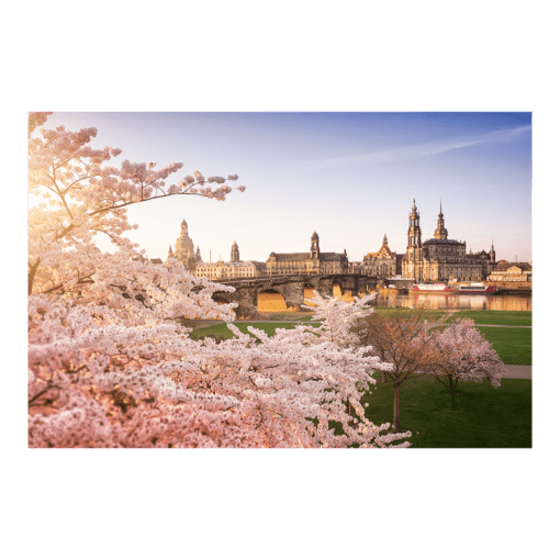 Acryl Board (00501) Dresden Skyline im Frühling
