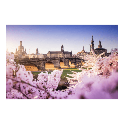 Acryl Board (00503) Dresden Skyline im Frühling
